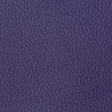 Sierra-1060 viola
